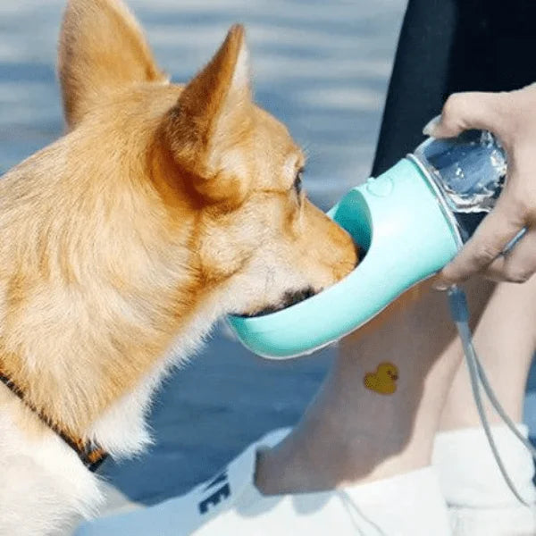 Botella Multifuncional para Mascotas 4 en 1